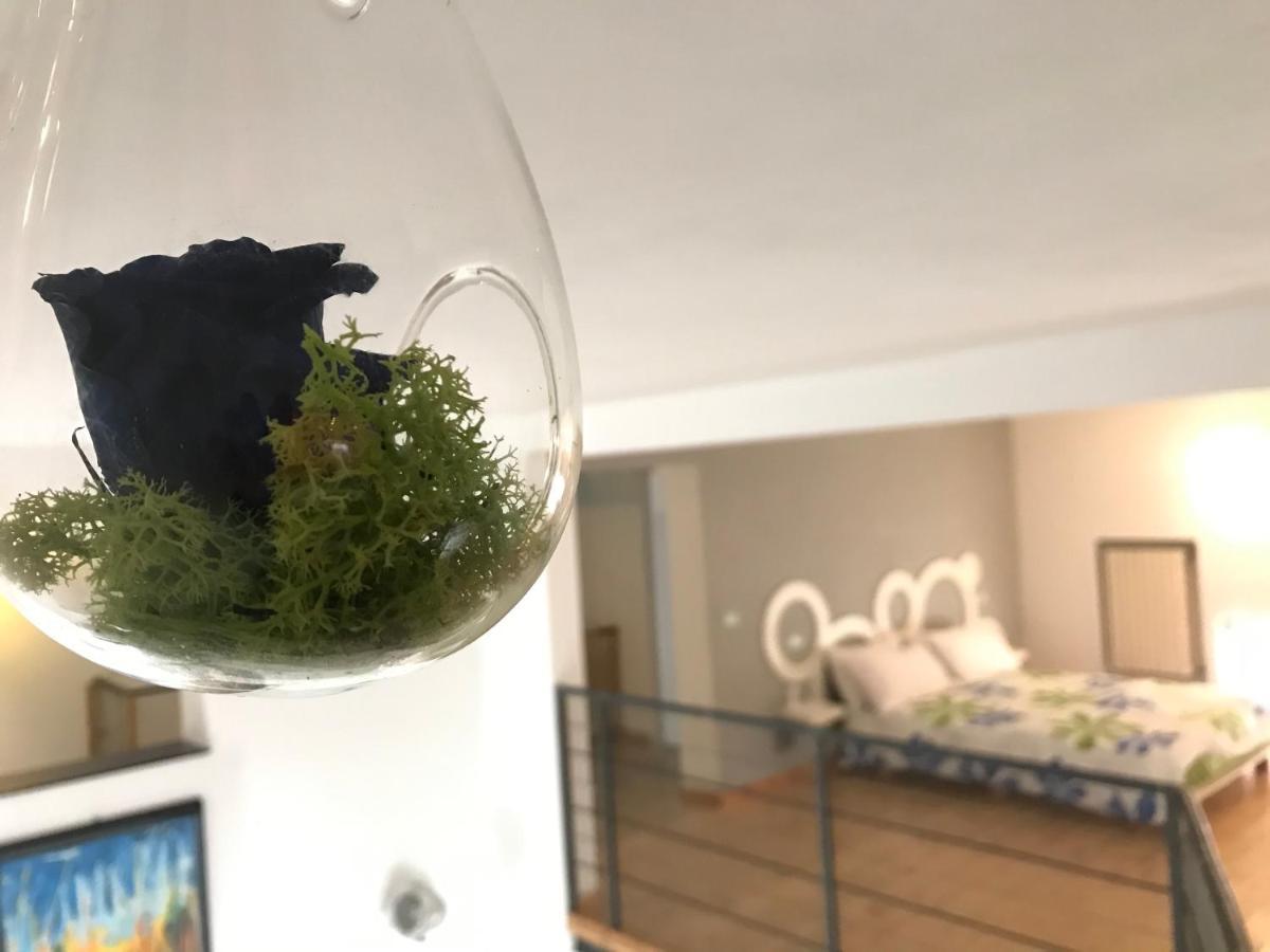 Loft 51 Apartment